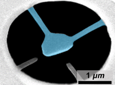 A graphene triangular cantilever (false-colored in blue) viewed in a scanning electron microscope.